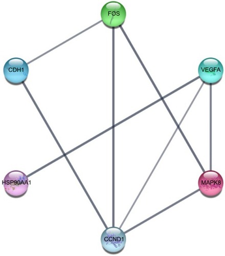 Figure 10 Hub genes obtained from the PPI network.