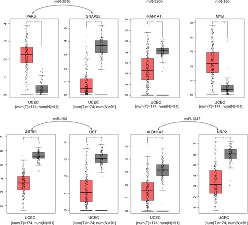 Figure 5 Expression differences between endometrial cancer and adjacent tissues.Note: *Mean logFC >1.5, P-value <0.05.Abbreviations: FC, fold change; UCEC, Uterine Corpus Endometrial Carcinoma.