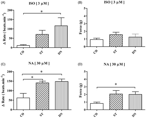 Figure 1. Effects of isoproterenol (ISO; 3 μM) on spontaneous ventricular rate changes (A) and contraction force (B) (*p < .05; compared to CD group). Effects of noradrenaline (NA; 30 μM) on spontaneous ventricular rate changes (C) and contraction force (D) (*p < .05; compared to CD group).