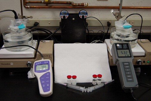 Figure 1.  The set-up used for measuring oxygen absorption. The vials on the left contain one of the PFC emulsions and the vials on the right contain the blank formulation.