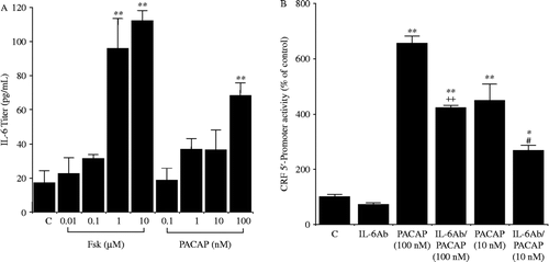 Figure 8.  Effects of IL-6 on PACAP-induced CRF 5′-promoter activity in 4B cells. (A) Effects of PACAP on IL-6 production in 4B cells. Cells were incubated for 48 h with medium alone (control), or with medium containing forskolin (F) or PACAP. The titers of IL-6 in the culture supernatants were measured by IL-6 ELISA; **P < 0.005 (compared with control (C)). (B) Effects of anti-IL-6 Ab on PACAP-induced CRF 5′-promoter activity in 4B cells. Cells were pre-incubated with medium containing anti-IL-6 Ab or control IgG for 30 min and then incubated for 2 h with medium containing 10 or 100 nM PACAP or vehicle. Cells treated with control IgG are indicated as C; **P < 0.005 (compared with control (C)), ++P < 0.005 (compared with 100 nM PACAP), and #P < 0.05 (compared with 10 nM PACAP). [Reproduced with permission from Kageyama et al. (Citation2007). Copyright © Society for Endocrinology.]