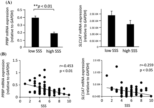 Figure 3. Expression of PPBP and SLC1A7 mRNAs in peripheral blood leukocytes from subjects. (A) The mRNA levels for PPBP and SLC1A7 were measured by qPCR and compared between the low- and high-SSS groups. Values are means ± SD. (B) The correlation between SSS scores and PPBP or SLC1A7 mRNA levels in 72 subjects was analyzed by a multiple regression analysis.