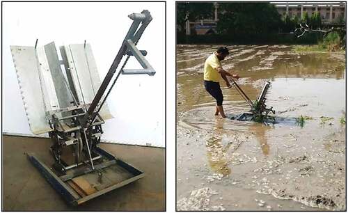 Figure 1. Stationary view and operational view of two-row hand cranked rice transplanter.