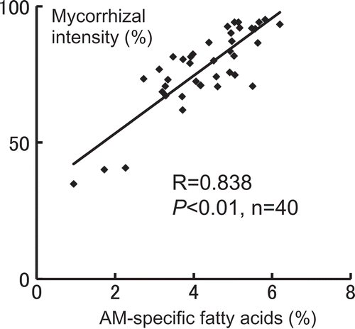Figure 1. Correlation between the percentage of specific fatty acids derived from the arbuscular mycorrhizal (AM) fungus, Gigaspora rosea, and the intensity of the AM fungal colonization in the second lateral soybean roots. AM-specific fatty acids: the total of 20:1ω9, 20:4ω6, and 20:5ω3.