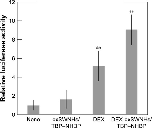 Figure 6 Effects of DEX-oxSWNHs on GR transcriptional activity. ST2 cells were transfected with pBV2-MMTV-LUC and incubated with oxSWNHs/TBP–NHBP, DEX, or DEX-oxSWNHs/TBP–NHBP on Ti plates. Error bars indicate standard deviation (n=5). **P<0.01.Abbreviations: oxSWNHs, oxidized single-walled carbon nanohorns; TBP, Ti-binding peptide; NHBP-1, SWNH-binding peptide; DEX, dexamethasone.
