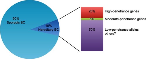 Figure 1 Genetic susceptibility in hereditary breast cancer. Up to 10% of all breast cancers are caused by inherited germ-line mutations in breast cancer susceptibility genes. High-penetrance genes (BRCA1 and BRCA2) contribute to 25% of hereditary breast cancer, moderate-penetrance genes (CHEK2, ATM, PALB2, BRIP1, RAD51C) contribute less than 5% to the risk of breast cancer. The great majority of hereditary breast cancer may be due to common low-penetrance alleles or other still unknown genetic factors.
