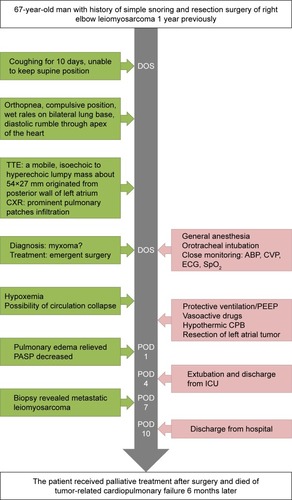 Figure 3 Timeline of interventions and outcomes.
