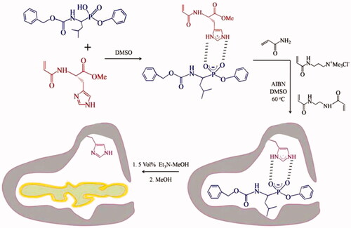 Figure 19. Water soluble esterase MIP’ with the imprints of phenyl-1-benzyloxycarbonyl-3-methylpentyl phosphonate [Citation56].