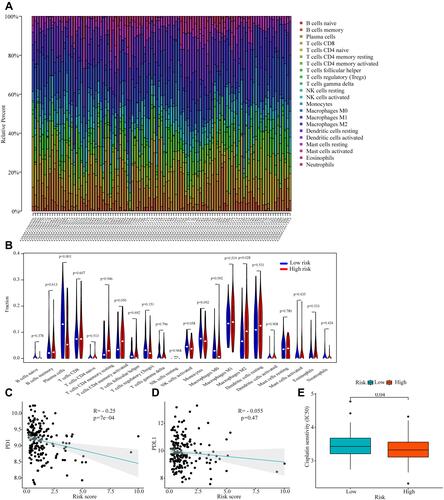 Figure 7 Correlations between risk score and tumor-infiltrating immune Cell (TIC) and response to immunotherapy and chemotherapy. (A) The relative content distribution of 22 TICs of ESCC samples. (B) Differential analysis of immune cells proportions in the high and low-risk groups. (C and D) Correlation plots of the risk score and the expression levels of PD-1 and PD-L1. (E) Chemotherapeutic sensitivity of cisplatin in the high and low-risk groups.