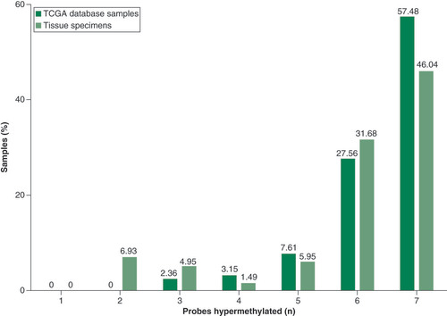 Figure 2. Comparison between percentages of hypermethylated probes from TCGA database (n = 381) and tissue specimens from experimental validation (n = 202). The values are represented in a column plot with the number of probes hypermethylated on the x-axis (minimum zero, maximum seven probes) and the percentage of samples for each value on the y-axis. The representation shows the majority of samples having either six or seven methylated probes, from both TCGA database and our dataset.TCGA: The Cancer Genome Atlas.