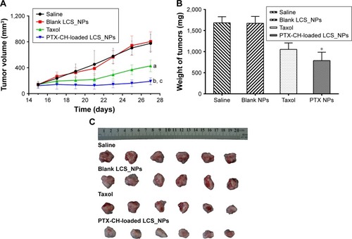 Figure 9 Studies of antitumor efficacy of PTX-CH-loaded LCS_NPs in vivo.Notes: (A) Tumor volume of mice treated with saline, blank LCS_NPs, PTX, PTX-CH-loaded LCS_NPs (mean ± SD, n=6). a, P<0.001; b, P<0.001 vs saline; c, P<0.001 vs PTX. (B) Weight of isolated tumors in groups of saline, blank LCS_NPs, PTX, PTX-CH-loaded LCS_NPs (mean ± SD, n=6). *P<0.05 vs PTX. (C) Isolated tumor tissues of mice treated with saline, blank LCS_NPs, PTX, PTX-CH-loaded LCS_NPs.Abbreviations: LCS_NPs, lecithin–chitosan nanoparticles; PTX-CH-loaded LCS_NPs, paclitaxel–cholesterol complex-loaded lecithin–chitosan nanoparticles.