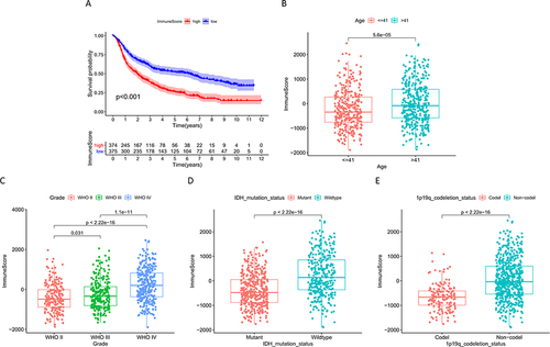Figure 2 (A) Survival analysis of glioma samples grouped by ImmuneScore median values in CGGA; Correlation analysis of ImmuneScore and clinical characteristics of samples in CGGA: (B) Age; (C) Grade; (D) IDH mutation status; (E) 1p19q codeletion status.