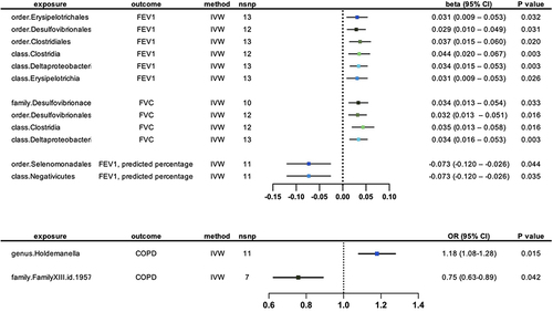 Figure 2 Forest plot for the causal effects of genetically predicted abundance of gut microbial taxa on lung function and COPD.