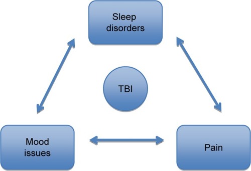 Figure 3 Relationship among sleep-related issues.