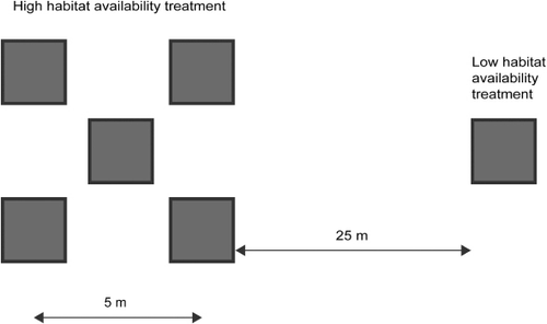 Figure 2 Physical layout of ASUs (black squares with grey fill) deployed at each of 10 sites within Whangapoua Harbour. This layout was based on that of Stier & Osenbarg (Citation2010), but within the present experiment it addresses whether juvenile fish abundance is habitat or supply limited.