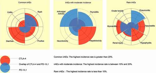 Figure 1. Comparison of the incidence of irAEs between PD-1/L1 inhibitors and CTLA-4 inhibitors in three categories.