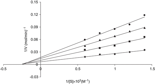 Figure 5.  Ki graph obtained from in vitro studies for compound 1 on hCA II.