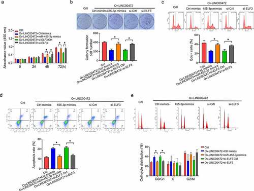 Figure 4. Anti-tumor activities of LINC00472 in OSCC mediated by miR-455-3p/ELF3 axis. OSCC cells divided into five groups: 1) Ctrl; 2) Ov-LINC00472+ Ctrl mimics; 3) Ov-LINC00472+ miR-455-3p mimics; 4) Ov-LINC00472+ si-ELF3 Ctrl; 5) Ov-LINC00472+ si-ELF3. OSCC cell proliferation as detected by (a) CCK-8 assay, (b) colony formation assay, and (c) EdU assay. (d) Cell apoptosis and (e) cell-cycle flow-cytometry analysis. *P < 0.05. Data presented in the mean ± standard deviation (SD).