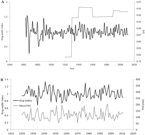 FIGURE 2. (A) Time series plot of the regional ring-width index (n = 61) showing that the expressed population signal (EPS) falls below 0.80 at 1920. (B) Time series of EPS-truncated regional ring widths and mean autumn (previous October through previous December) precipitation-as-snow (PAS).