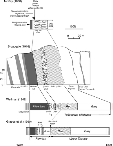 Figure 7  McKay's (1888b) section at Red Rocks compared with that of Broadgate (1916; cliff exposure), Wellman (Citation1949) and Grapes et al. (Citation1990); shore platform section).