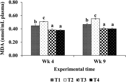 Figure 1. The blood oxidative stability of growing-finishing pigs fed different diets. MDA = malondialdehyde. T1 = control diet; T2 = control diet supplemented with extruded linseed; T3 = T2 diet supplemented with thymol powder; T4 = T2 diet supplemented with green tea extract. The data are presented as a mean with standard error of the mean. Bars with various letters within a time class are significant different (p < .01).