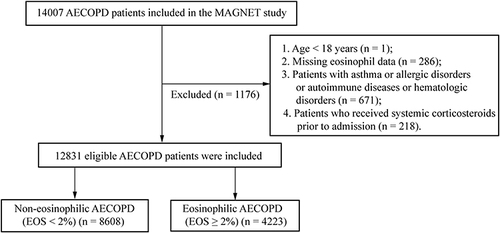 Figure 1 Flow chart of the study.