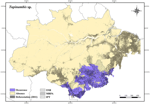 Figure 114. Occurrence area and records of Tupinambis sp. in the Brazilian Amazonia, showing the overlap with protected and deforested areas.