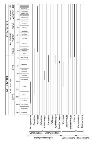 Figure 9. Stratigraphical distribution of taxa discussed in this paper.