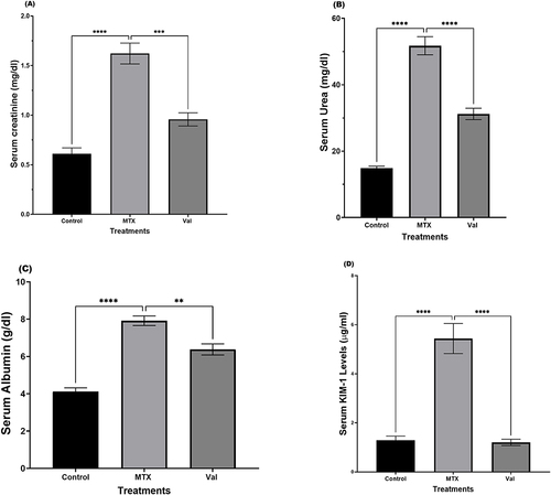 Figure 1 Effects of MTX and Val on serum biochemical and kidney injury marker. Serum creatinine (A), serum urea (B), serum albumin (C), serum KIM-1 (D). Results are presented as mean ± SEM, (n =8). Data was analyzed by One-way ANOVA followed by Sidak’s multiple comparisons. **P < 0.01, ***P < 0.001, ****P < 0.0001, compared with the MTX group.