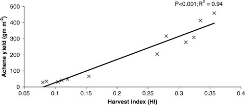 Figure 8.  The response of harvest index (HI) to the variation in achene yield (gm m−2) across all genotypes.