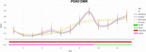 Figure 2. Differentially methylated regions (DMRs) identification. Plot representing the comparison (between responders and non-responders) of the methylation levels of the individual CpGs included in the DMR identified in PON3 gene. Solid lines represent mean values and dashed lines represent the Loess line, where a hypermethylation is observed in the responders group (pink solid line). TSS1500: Transcription Start Site that covers 200 to 1500 nucleotides upstream of TSS.