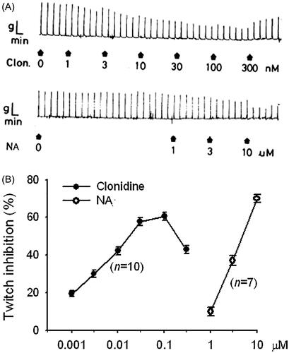 Figure 1. Tracing graphs (A) of clonidine (Clon., upper panel)- and noradrenaline (NA, lower panel)-induced twitch inhibition, and their log concentration-inhibition relationships (B) in the electrically stimulated guinea-pig vas deferens. Each point represents the mean ± SEM, and n is the number of experiments. Drugs were added at the arrow shown in the tracing graphs.