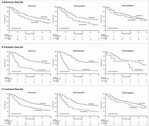Figure 3. Relationship between CCL22 expression and benefit from 5-fluorouracil based adjuvant chemotherapy. Kaplan-Meier analysis of overall survival in patients with stage II/III disease received postsurgical adjuvant chemotherapy according to CCL22 expression level. Among patients in discovery, validation and combined data sets, treatment with adjuvant chemotherapy was associated with a higher rate of 5-year overall survival (P = 0.025, A; P<0.001, B; P<0.001, C). Besides, treatment with adjuvant chemotherapy was strongly associated with a higher rate of 5-year overall survival in the CCL22-positive subgroup in all sets (P = 0.012, P<0.001, P<0.001, respectively), but it was not associated with a higher rate of survival in the CCL22-negative subgroup (P = 0.595, P = 0.085, P = 0.252, respectively).