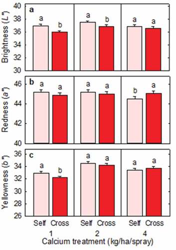 Figure 3. (a) Brightness (L*), (b) redness (a*), and (c) yellowness (b*) of Redlands Joy strawberry fruit arising from self-pollination (Self) or cross-pollination by cultivar Rubygem (Cross) under three levels of calcium nutrition. Means + SE with different letters within a calcium level are significantly different (GLM; P < .05; n = 236–253 fruit).