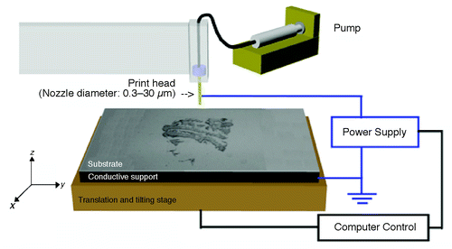 Figure 5. The illustration shows a high-density antibody bar code array chip and the process of isolating primary tumor cells from patients for further secretomic analysis on the antibody arrays (Courtesy: Lu et al., 2013).Citation37