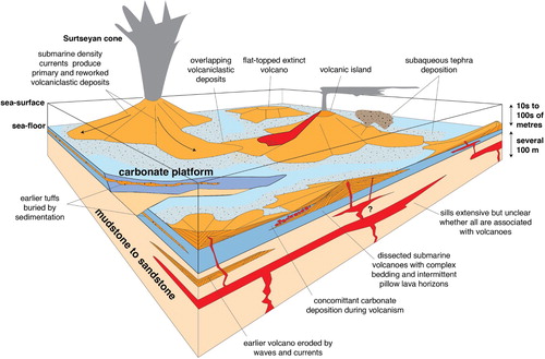 Figure 3. Cartoon showing the inferred shallow-level development of the Waiareka-Deborah Volcanic Field.