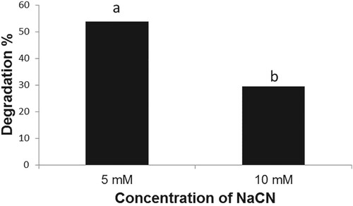 Figure 4. Degradation of NaCN by Bacillus subtilis BEB1. The cyanide content in the growth medium was determined 72 h after inoculation. Values followed by different letters are significantly different according to LSD test (P < 0.05).