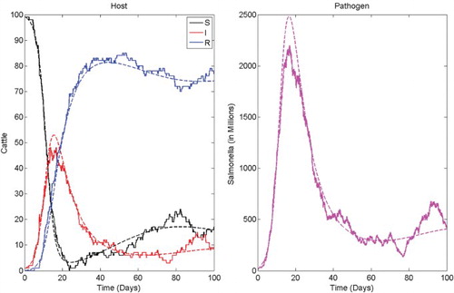 Figure 2. Comparison of the ODE solution (dashed) and one sample path of the CTMC (solid) for salmonellosis in a dairy herd illustrating a major outbreak and disease persistence. Parameter values are as in Table 3 with initial conditions S(0)=99, I(0)=1, R(0)=0, and P(0)=0. The basic reproduction number is ℛ0≈2.64. The probability of a major outbreak is 1−ℙ0=0.8453 (see Table 4). The locally stable endemic equilibrium for the ODE model is (S*, I*, R*, P*)≈(15, 7.7, 69.6, 3.6×108).