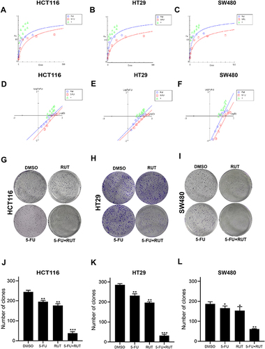 Figure 3 (A–F) The synergistic effects of the combination of RUT (2.5, 5μM) and 5-FU (10, 25, 50, 75, 100μM) for 24 h were analyzed by dose effect diagram and medium effect diagram, respectively. (G–I) The effect of DMSO (control), RUT (5μM), 5-FU (10μM), RUT (5μM) and 5-FU (10μM) on colony formation. (J–L) Bar graphs represent means ± standard deviation (SD) of colonies in HCT116, HT29, and SW480 cells treated with 5μM RUT with or without 10μM 5-FU for 12 days. n=3,*P < 0.05, **P < 0.01, ***P < 0.001 compared with DMSO group.