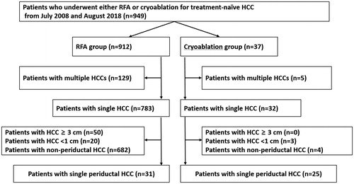 Figure 1. Flow diagram of patient selection for the study. HCC: hepatocellular carcinoma; RFA: radiofrequency ablation.