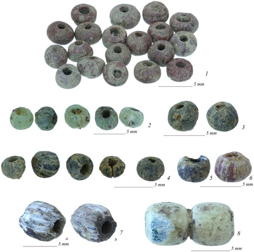 Figure 2. Examples of monochrome drawn and segmented glass beads found at Maryam Anza: 1–3: beads 204.17, 204.19, 204.7 (Grave 14); 4–8: beads 25.11 (Grave 5/6) (photographs by J. Then-Obłuska).