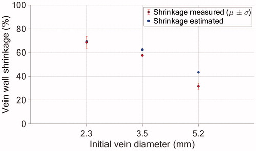 Figure 10. Comparison between the simulated (blue) and experimental (red) luminal shrinkage in one vein cross-section. The error bars refer to the experimental standard deviations (σ) and means are represented by the red circles.