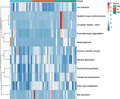 Figure 4 Heatmap depicting 11 significant pathways selected from 328 predicted KEGG metabolic pathways. n=15 per group. Color indicates correlations according to Spearman correlation coefficients (blue=negative, red=positive).