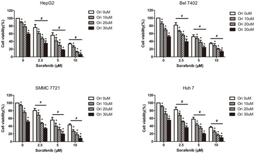 Figure 1 Cytotoxicity of the combination of different doses of oridonin and sorafenib on HCC cell lines. The viability of HepG2, Bel-7402, SMMC-7721 and Huh7 cells was analyzed by MTT assays after treatment with different concentrations of sorafenib and oridonin for 48 h. (The data represent the mean ± SD of three independent experiments. *Indicates p<0.05 compared with 0 μM oridonin; #Indicates p<0.05 compared with 0 μM sorafenib; Ori indicates oridonin; Sor indicates sorafenib; Ori + Sor indicates combined oridonin and sorafenib treatment).