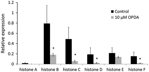 Fig. 4. Relative expression of histone genes by qRT-PCR.