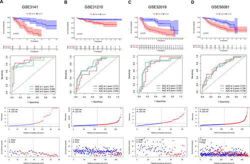 Figure 3 Validation of LMS model by external cohorts. Kaplan-Meier survival analysis, ROC analysis including 1, 3, and 5 years, risk score distribution and survival status distribution in GEO cohorts (A) GSE3141 (B) GSE31210 (C) GSE32019 (D) GSE50081.