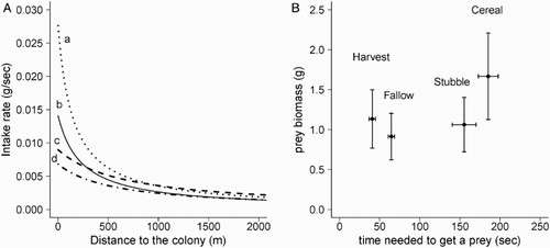 Figure 4. (A) Expected intake rate in the main habitats according to the distance of foraging patches from the colony: (a) patches being harvested, (b) fallow, (c) cereal and (d) stubbles and (B) mean time to obtain a prey (± se) and prey biomass (min–max).