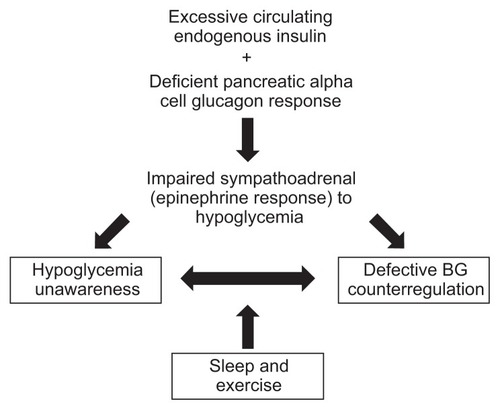 Figure 2 Diagrammatic representation of the concept of hypoglycemia-associated autonomic failure.Copyright © 2011, Vendome Group. Reprinted with permission from Unger J, Parkin C. Hypoglycemia in insulin-treated diabetes: a case for increased vigilance. Postgrad Med. 2011;123(4):81–91.