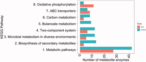 Figure 6 KEGG pathway analysis revealed a differential abundance of enzymes in ALS patients (upper bar) and their spouses (lower bar).