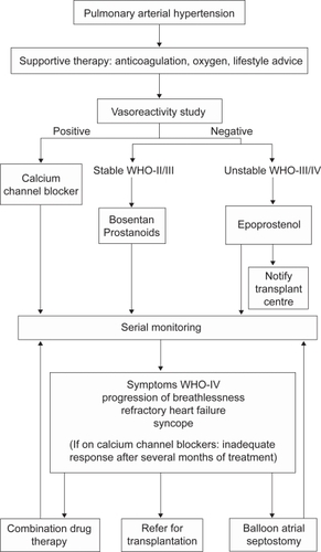 Figure 1 Current British Cardiovascular Society (BCS) algorithm for the management of PAH in children.